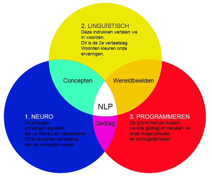 Schema Neuro Linguïstisch Programmeren
